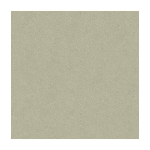 Lee Jofa Fabric Ultimate Ash Grey ULTIMATE SUEDE RECYCLED POLYESTER - 80%;POLYURETHANE - 20% Japan HEAVY Horizontal: - and Vertical: - 55 - My Fabric Connection -