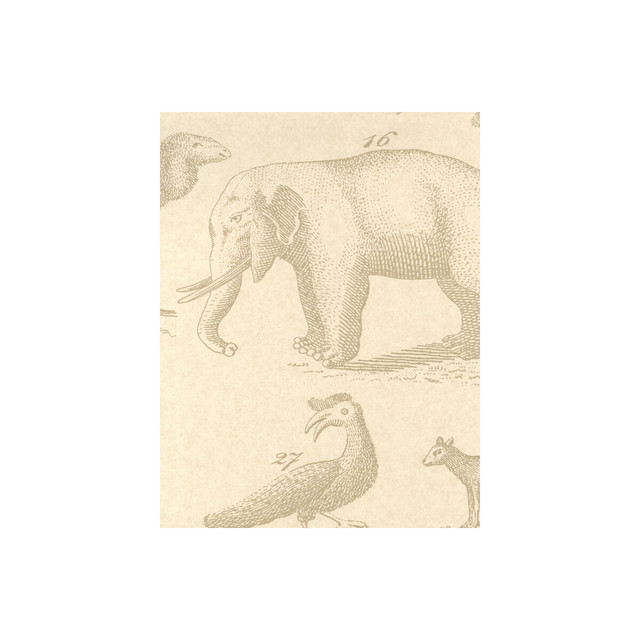 Kravet Couture Wallcovering Ark Sand ANDREW MARTIN MUSEUM PAPER - 100% United Kingdom - Horizontal: - and Vertical: 26.5 20.5 - My Fabric Connection -