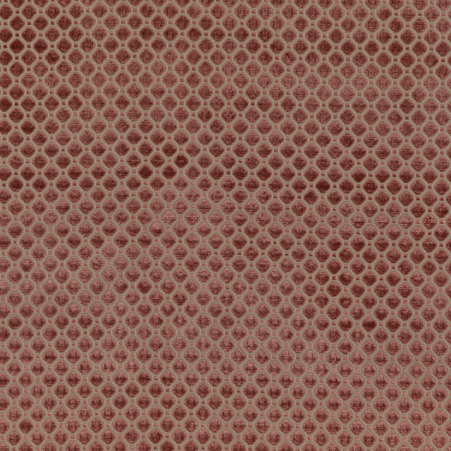 G P & J Baker Fabric Indus Velvet Blush COROMANDEL VELVETS VISCOSE - 100% Belgium HEAVY Horizontal: 1.379 and Vertical: 1.379 53.978 - My Fabric Connection -