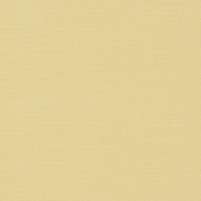 Clarke And Clarke Fabric Nantucket Corn CLARKE & CLARKE NANTUCKET COTTON - 100% India HEAVY Horizontal: 0 and Vertical: 0 55 - My Fabric Connection -