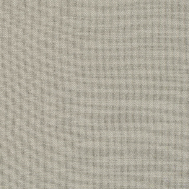 Clarke And Clarke Fabric Nantucket Lichen CLARKE & CLARKE NANTUCKET COTTON - 100% India HEAVY Horizontal: 0 and Vertical: 0 55 - My Fabric Connection -