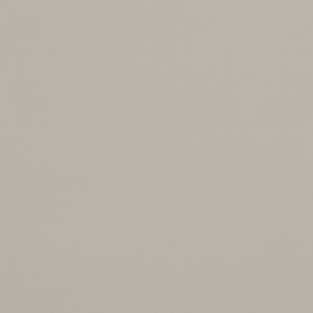 Clarke And Clarke Fabric Alvar Birch CLARKE & CLARKE ALVAR POLYESTER - 100% China HEAVY Horizontal: 0 and Vertical: 0 57 - My Fabric Connection -