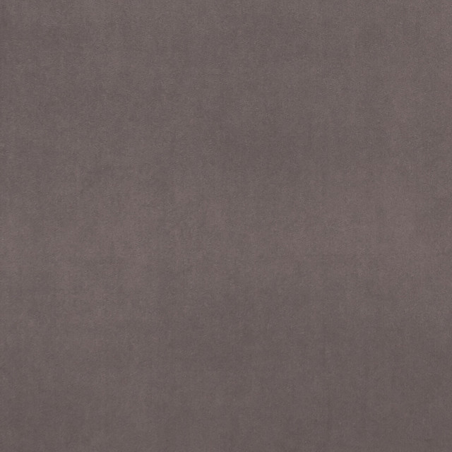 Clarke And Clarke Fabric Alvar Mink CLARKE & CLARKE ALVAR 2 POLYESTER - 100% China HEAVY Horizontal: 0 and Vertical: 0 56.75 - My Fabric Connection -