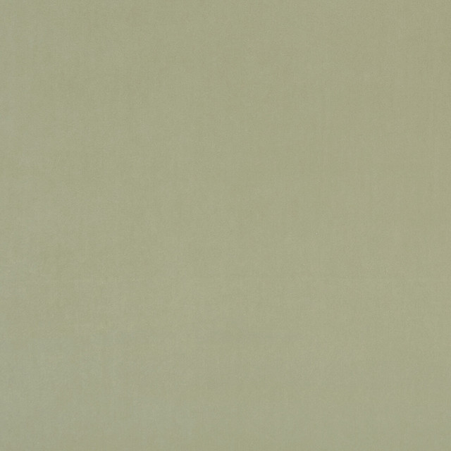 Clarke And Clarke Fabric Alvar Thyme CLARKE & CLARKE ALVAR 2 POLYESTER - 100% China HEAVY Horizontal: 0 and Vertical: 0 56.75 - My Fabric Connection -