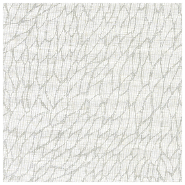 Clarke And Clarke Fabric Corallino Sheer Chalk/Silver CLARKE & CLARKE LUSSO SHEERS POLYESTER - 100% Turkey - Horizontal: 9.84 and Vertical: 22.05 117 - My Fabric Connection -