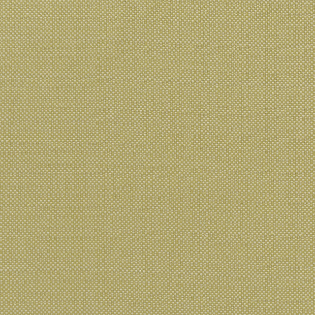 Clarke And Clarke Fabric Kauai Citron CLARKE & CLARKE EXOTICA COTTON - 46%;POLYESTER - 42%;VISCOSE - 12% India HEAVY Horizontal: 0 and Vertical: 0 54 - My Fabric Connection -