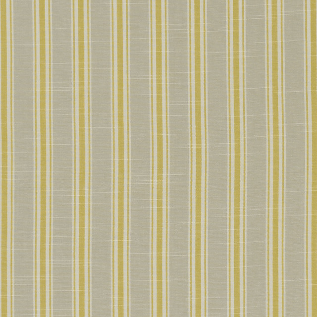 Clarke And Clarke Fabric Thornwick Citrus CLARKE & CLARKE BEMPTON COTTON - 100% India - Horizontal: 1.5 and Vertical: 0 55.125 - My Fabric Connection -
