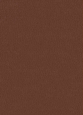 Kravet Design Fabric Fortune-6 - NYTEK - 100% Japan LIGHT Horizontal: 0 and Vertical: 0 54 - My Fabric Connection -