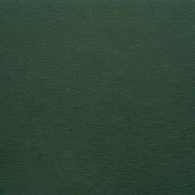 Kravet Design Fabric Gato-303 ULTRALEATHER PLUS IV POLYURETHANE - 100% Japan HEAVY Horizontal: 0 and Vertical: 0 54 - My Fabric Connection -