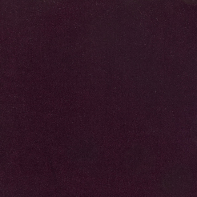 Kravet Design Fabric Eternal 32 LIZZO COTTON - 100% Spain HEAVY Horizontal: 0 and Vertical: 0 55 - My Fabric Connection -