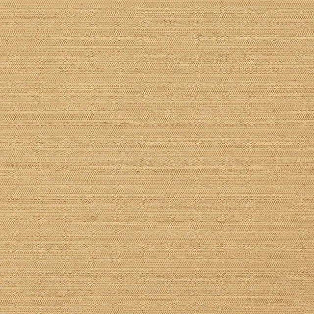 Maxwell Fabric Darwin # 726 Fusion Pure & Simple Vii 100% POLYESTER INDIA 55" - My Fabric Connection -