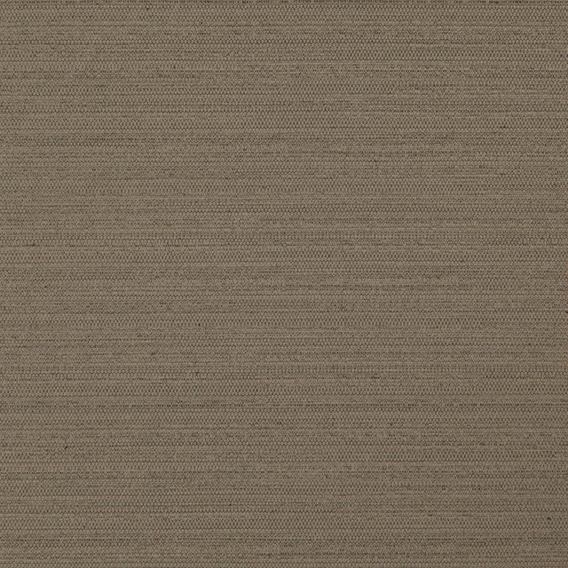 Maxwell Fabric Darwin # 738 Cocoa Pure & Simple Vii 100% POLYESTER INDIA 55" - My Fabric Connection -