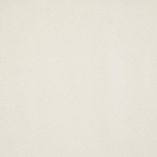 Maxwell Fabric Hedi # 780 Fleece Velvet Room 82% POLYESTER/18% COTTON SOUTH KOREA 55" - My Fabric Connection -