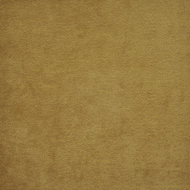Maxwell Fabric Hyde # 816 Honey Performance Wovens-Vol.Iv Boudoir 53% POLYESTER/40% ACRYLIC 7% VISCOSE TURKEY 54" - My Fabric Connection -