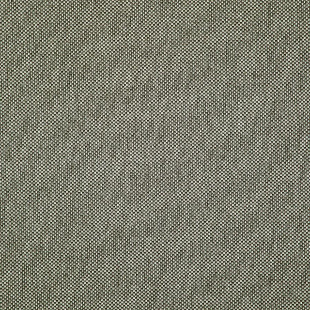 Maxwell Fabric Light Year # 213 Griffin 100% POLYESTER CHINA 56" - My Fabric Connection -