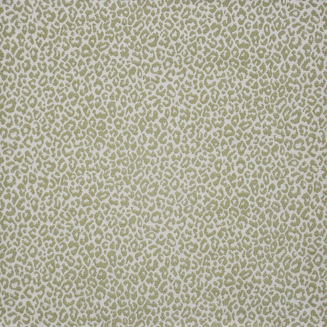 Maxwell Fabric Osbourne # 247 Fern Upholstery Palettes-Laguna 75% RAYON/25% POLYESTER CHINA V-7"H-14" 56" - My Fabric Connection -