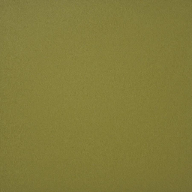 Maxwell Fabric Pinto # 728 Spring Easy Rider Iv 100% PVC CHINA 54" - My Fabric Connection -