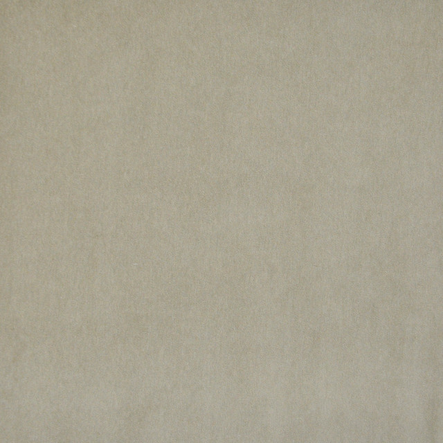 Maxwell Fabric Snug # 430 Chamois Performance Velvets-Vol.I 67.2% POLYESTER 32.8% COTTON TURKEY 55" - My Fabric Connection -