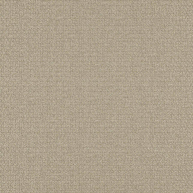 Maxwell Fabric Take Off # 605 Cashew 100% POLYESTER CHINA 56" - My Fabric Connection -