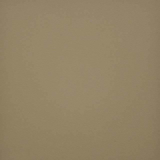 Maxwell Fabric Vesper # 255 Buff Easy Rider Vi 100% PVC TAIWAN 54" - My Fabric Connection -