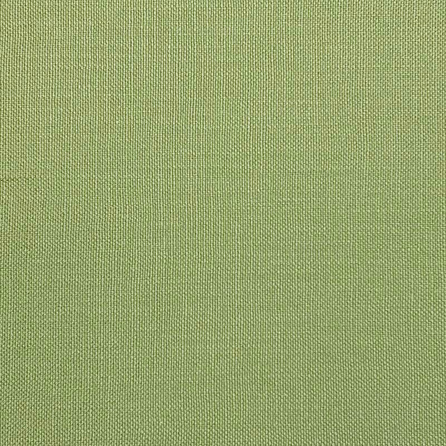Magnolia Fabric Jagger Elm - 100% COTTON INDIA 50,000 Horizontal: 0 and Vertical: 0 54" - My Fabric Connection - Magnolia Fabric Jagger Elm - 100% COTTON INDIA 50,000 Horizontal: 0 and Vertical: 0 54" - My Fabric Connection -