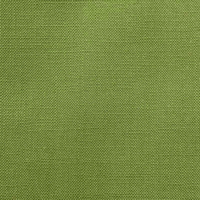 Magnolia Fabric Jagger Forest - 100% Cotton India 50000 Horizontal: 0 and Vertical: 0 54" - My Fabric Connection -