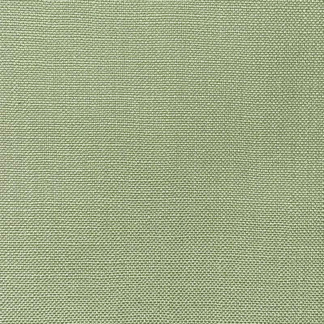 Magnolia Fabric Jagger Green Tea - 100% Cotton India 50000 Horizontal: 0 and Vertical: 0 54" - My Fabric Connection -