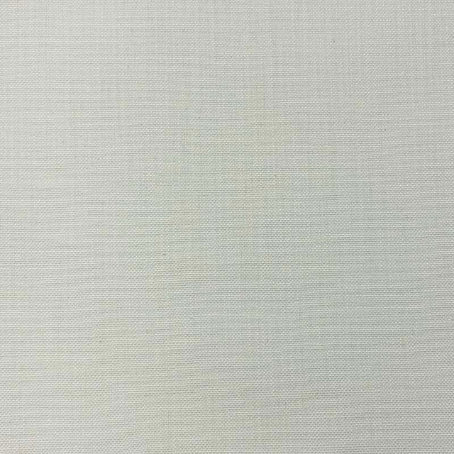 Magnolia Fabric Jagger Off-White - 100% Cotton India 50000 Horizontal: 0 and Vertical: 0 54" - My Fabric Connection -
