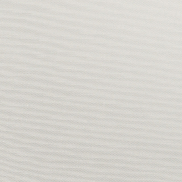 Magnolia Fabric Wilkes Coconut - 71 Polly/29 Cotton India 30000 Horizontal: 0 and Vertical: 0 54" - My Fabric Connection -