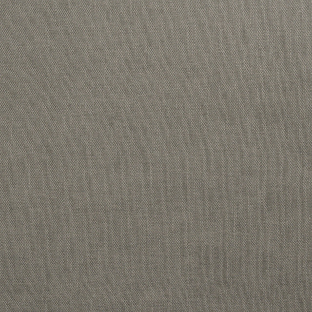 Magnolia Fabric Wilkes Elephant - 71 Polly/29 Cotton India 30000 Horizontal: 0 and Vertical: 0 54" - My Fabric Connection -