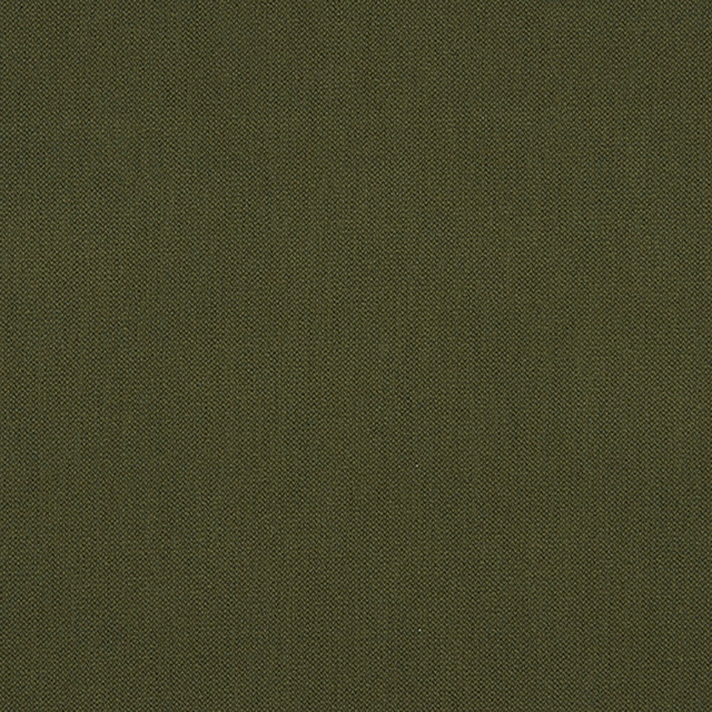 JF Crypton Fabric Ezra 78J7031 Crypton Binder 100% Polyester Taiwan 50000 Horizontal: and Vertical: 54 - My Fabric Connection -