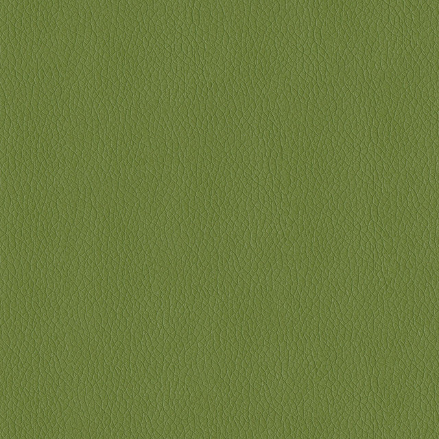 ABBEYSHEA Fabric Miami 205 Sprig N/A 90% Polyester, 10% Rayon China 60,000 Double Rubs </p><p>Repeat: Horizontal: and Vertical: 54" (137 cm) - My Fabric Connection -