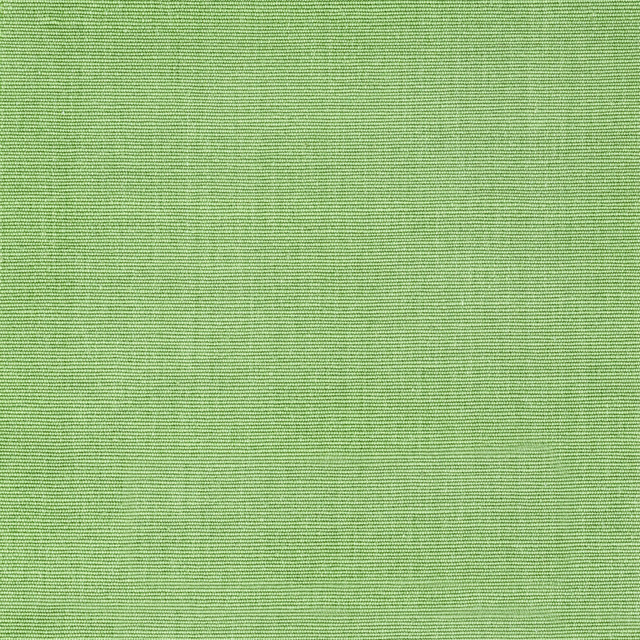 Stout Fabric Logan 1 Grass THE ART OF COLOR HERITAGE 100%COT INDIA FLAME RETARDANT-CA BULLETIN 117-CLASS 1 WYZENBEEK 9 000 DOUBLE RUB WEAR TEST (MEDIUM DUTY) Horizontal: 0 and Vertical: 0 54 in - My Fabric Connection -