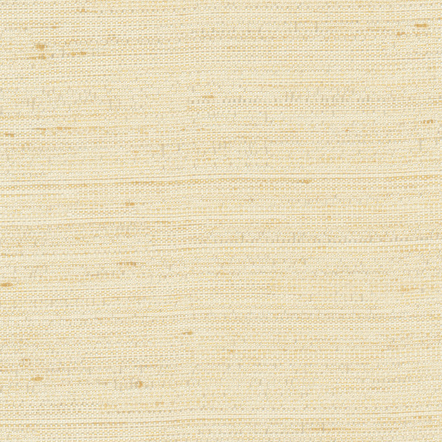 Carole Fabric Aiden Champagne Chestnut 100% Polyester India N/A Horizontal: 0 and Vertical: 0 54 - My Fabric Connection -