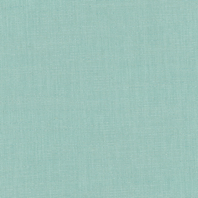 Carole Fabric Athlete Spa Celadon 60% Cotton, 40% Polyester India Passes 50,000 Double Rubs Wyzenbeek Horizontal: 0 and Vertical: 0 55 - My Fabric Connection -