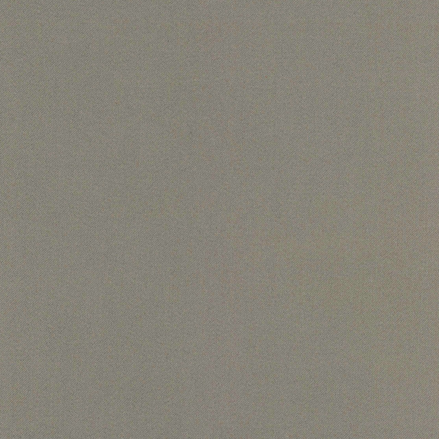 Carole Fabric Comfort Shale Daydreaming 100% Cotton India Passes 21,000 Double Rubs Wyzenbeek Horizontal: 0 and Vertical: 0 54 - My Fabric Connection -