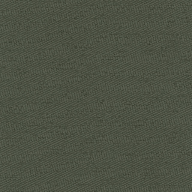 Carole Fabric Fact Finder Seaweed Celadon 100% Polyester Turkey Passes 40,000 Double Rubs Wyzenbeek Horizontal: 0 and Vertical: 0 59 - My Fabric Connection -