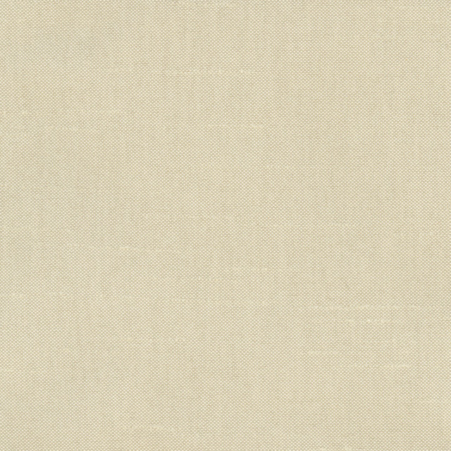 Carole Fabric Fleeting Plantain Royale 100% Polyester India Passes 50,000 Double Rubs Wyzenbeek Horizontal: 0 and Vertical: 0 54 - My Fabric Connection -