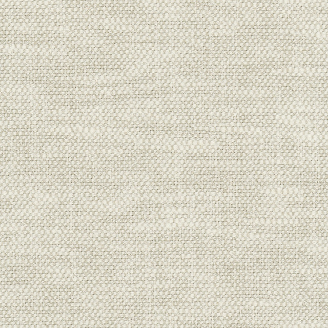 Carole Fabric Overacting Alabaster Opal 72% Polyester, 28% Cotton India N/A Horizontal: 0 and Vertical: 0 55 - My Fabric Connection -