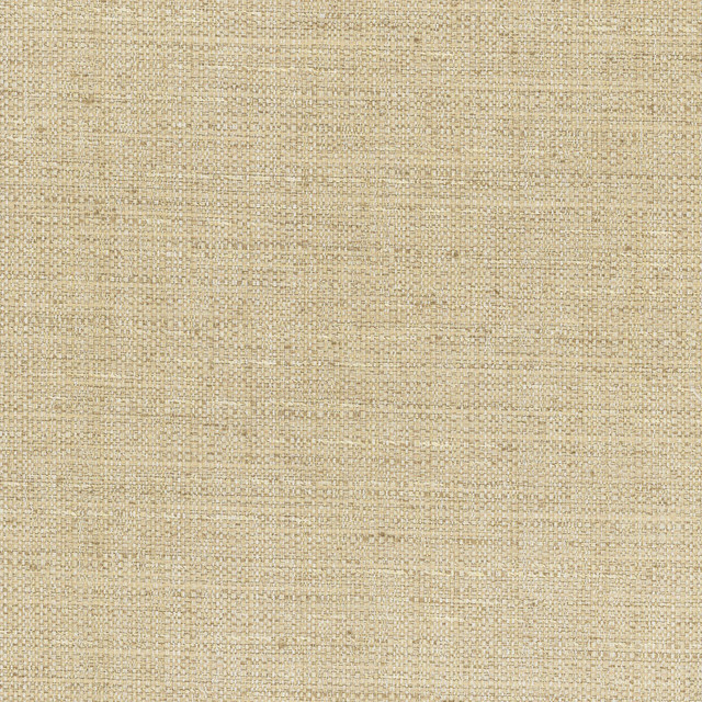 Carole Fabric Rock Wall Cashew Chestnut 83% Polyester, 12% Cotton, 5% Rayon India N/A Horizontal: 0 and Vertical: 0 55 - My Fabric Connection -