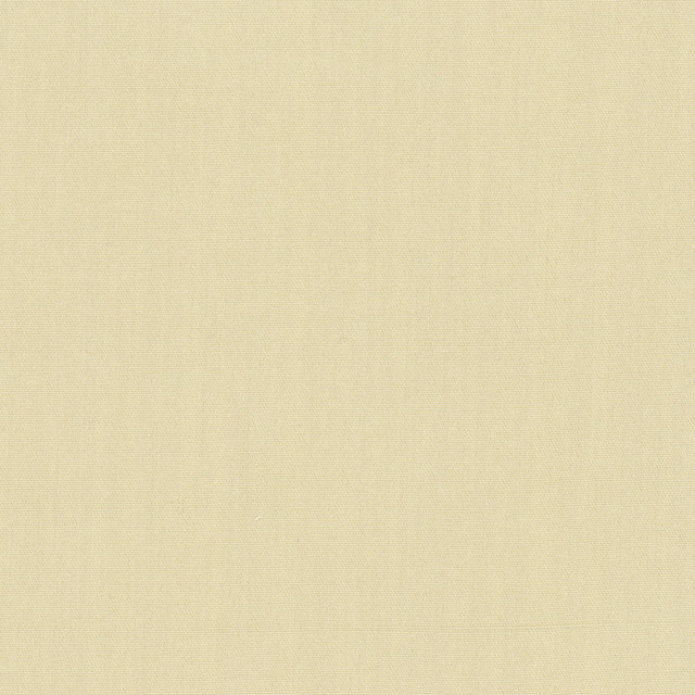 Carole Fabric Tempt Champagne Royale 100% IFR Polyester India Passes 45,000 Double Rubs Wyzenbeek Horizontal: 0 and Vertical: 0 54 - My Fabric Connection -