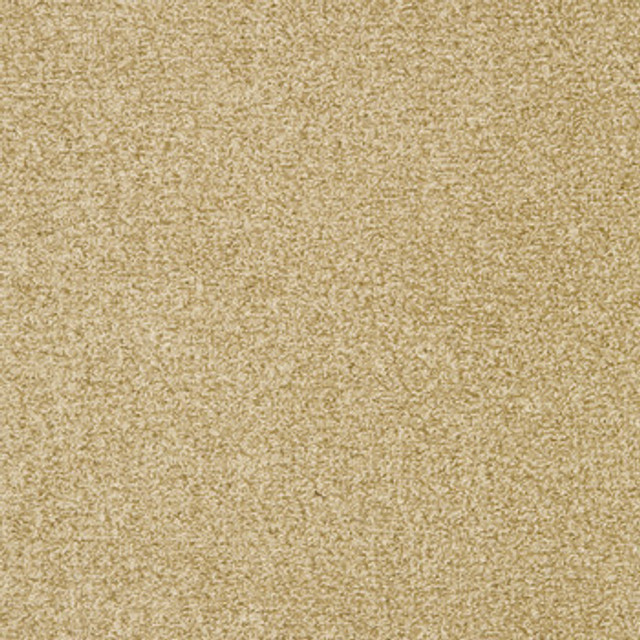 Crypton Fabric Interlude Camel See sample 100% Polyester 50000 Horizontal: Not Applicable and Vertical: Not Applicable 54" - My Fabric Connection -