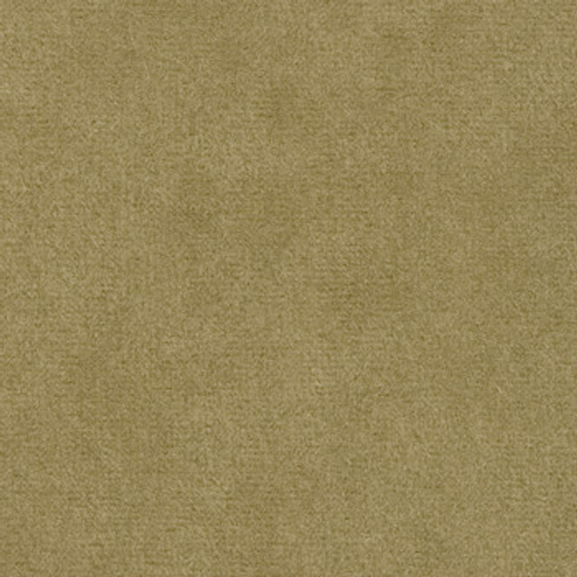 Crypton Fabric Suede Marsh See sample 100% Polyester 50000 Horizontal: Not Applicable and Vertical: Not Applicable 54" - My Fabric Connection -