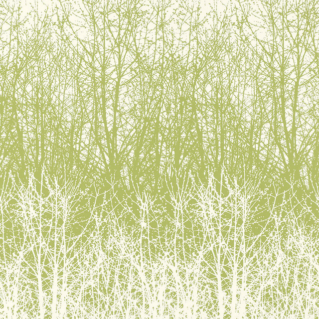 Schumacher Wallpaper Birches Leaf/White 2707242 DEC WALK FALL 2005 WLCVR Paper 0 UNITED STATES OF AMERICA </p><p>Repeat: Horizontal: 13 1/2" (34CM) and Vertical: 32" (81CM) 27 - My Fabric Connection - Schumacher Wallpaper Birches Leaf/White 2707242 DEC WALK FALL 2005 WLCVR Paper 0 UNITED STATES OF AMERICA </p><p>Repeat: Horizontal: 13 1/2" (34CM) and Vertical: 32" (81CM) 27 - My Fabric Connection -
