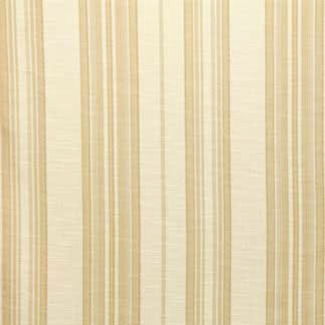 Carole Fabric Hamdan Champagne Fresh Elegance 55% POLYESTER, 45% RAYON CHINA N/A Horizontal: None and Vertical: 14" H 56" - My Fabric Connection -