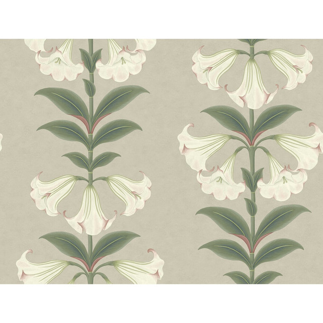 Cole & Son Wallcovering Angels Trumpet Chalk & Sage On Stone COLE & SON SEVILLE NON WOVEN - 100% United Kingdom Horizontal: 27 and Vertical: 20.5 27 - My Fabric Connection -