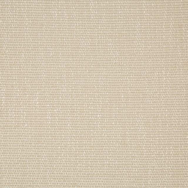 Kravet Smart Fabric 35943-116 PERFORMANCE KRAVETARMOR POLYESTER - 45%;VISCOSE - 37%;COTTON - 18% India HEAVY Horizontal: 0 and Vertical: 0 54 - My Fabric Connection -