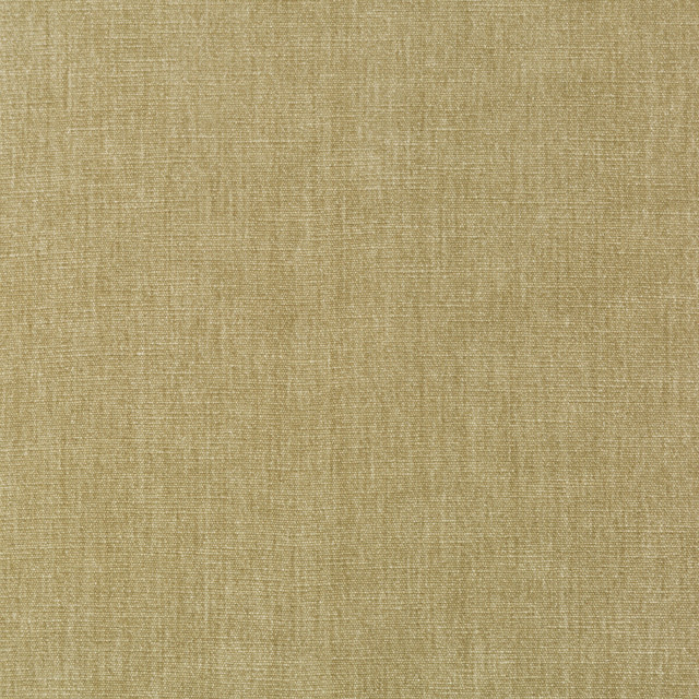 Kravet Smart Fabric 36076-106 PERFORMANCE KRAVETARMOR POLYESTER - 62%;COTTON - 38% India HEAVY Horizontal: 0 and Vertical: 0 54 - My Fabric Connection -