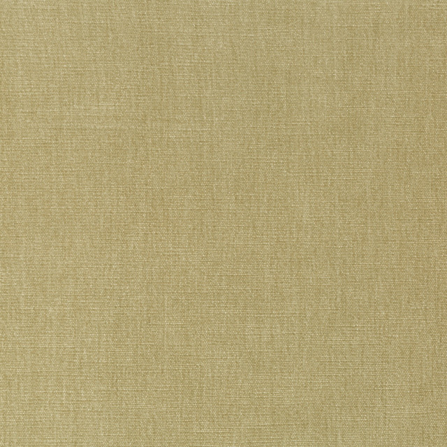 Kravet Smart Fabric 36076-1616 PERFORMANCE KRAVETARMOR POLYESTER - 62%;COTTON - 38% India HEAVY Horizontal: 0 and Vertical: 0 54 - My Fabric Connection -