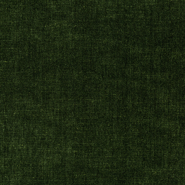 Kravet Smart Fabric 36076-30 PERFORMANCE KRAVETARMOR POLYESTER - 62%;COTTON - 38% India HEAVY Horizontal: 0 and Vertical: 0 54 - My Fabric Connection -